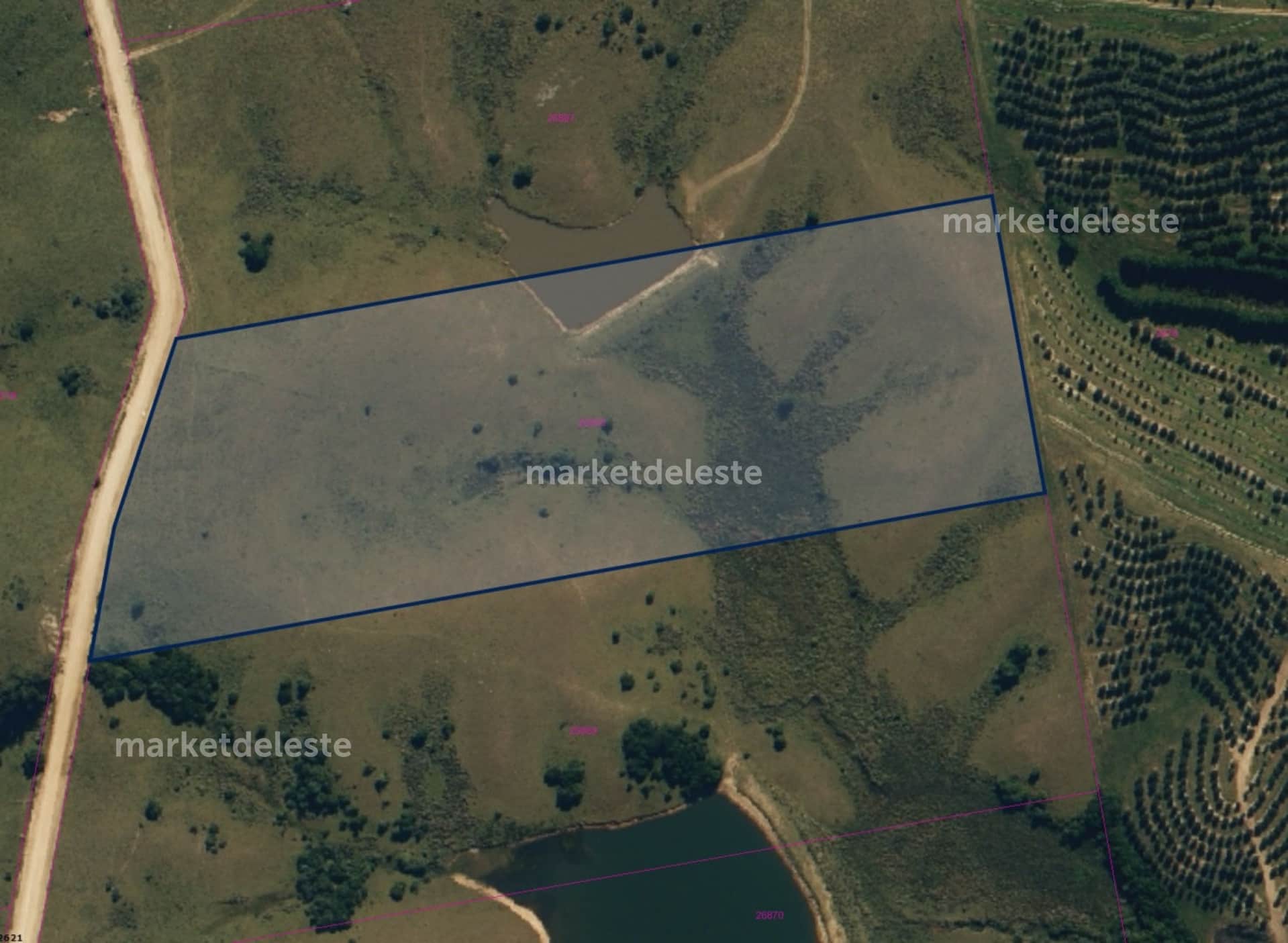 Property main image