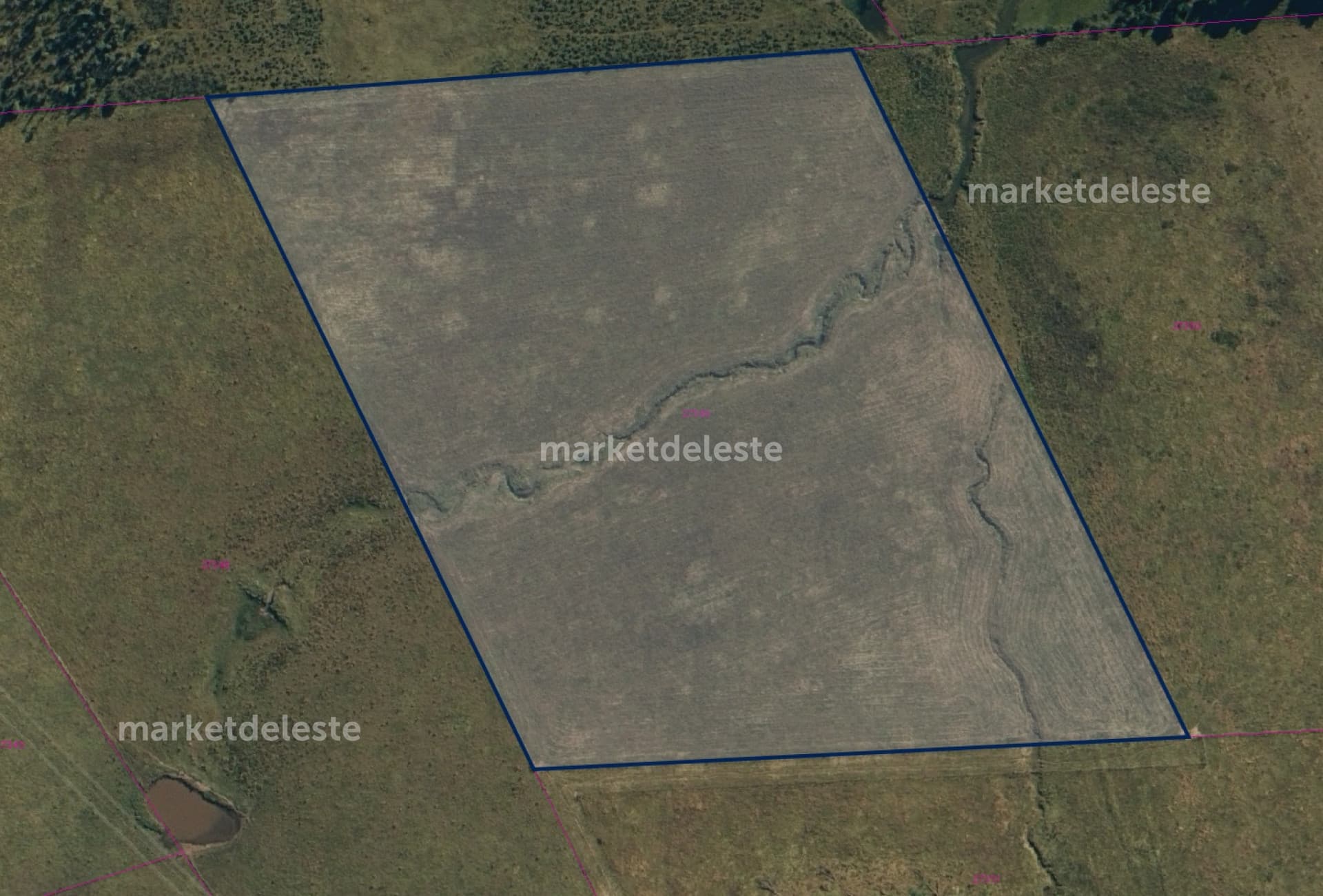 Property main image
