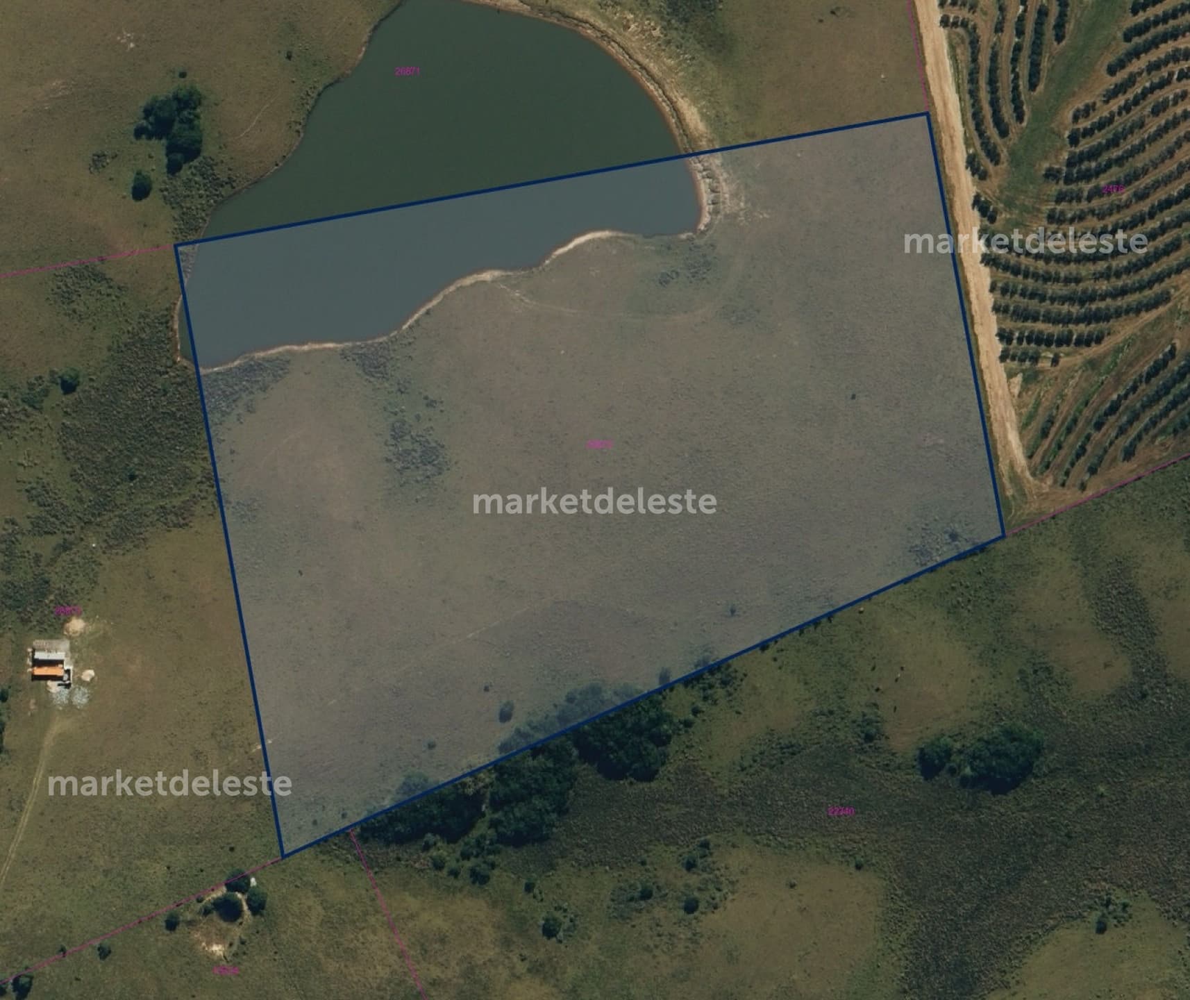 Property main image