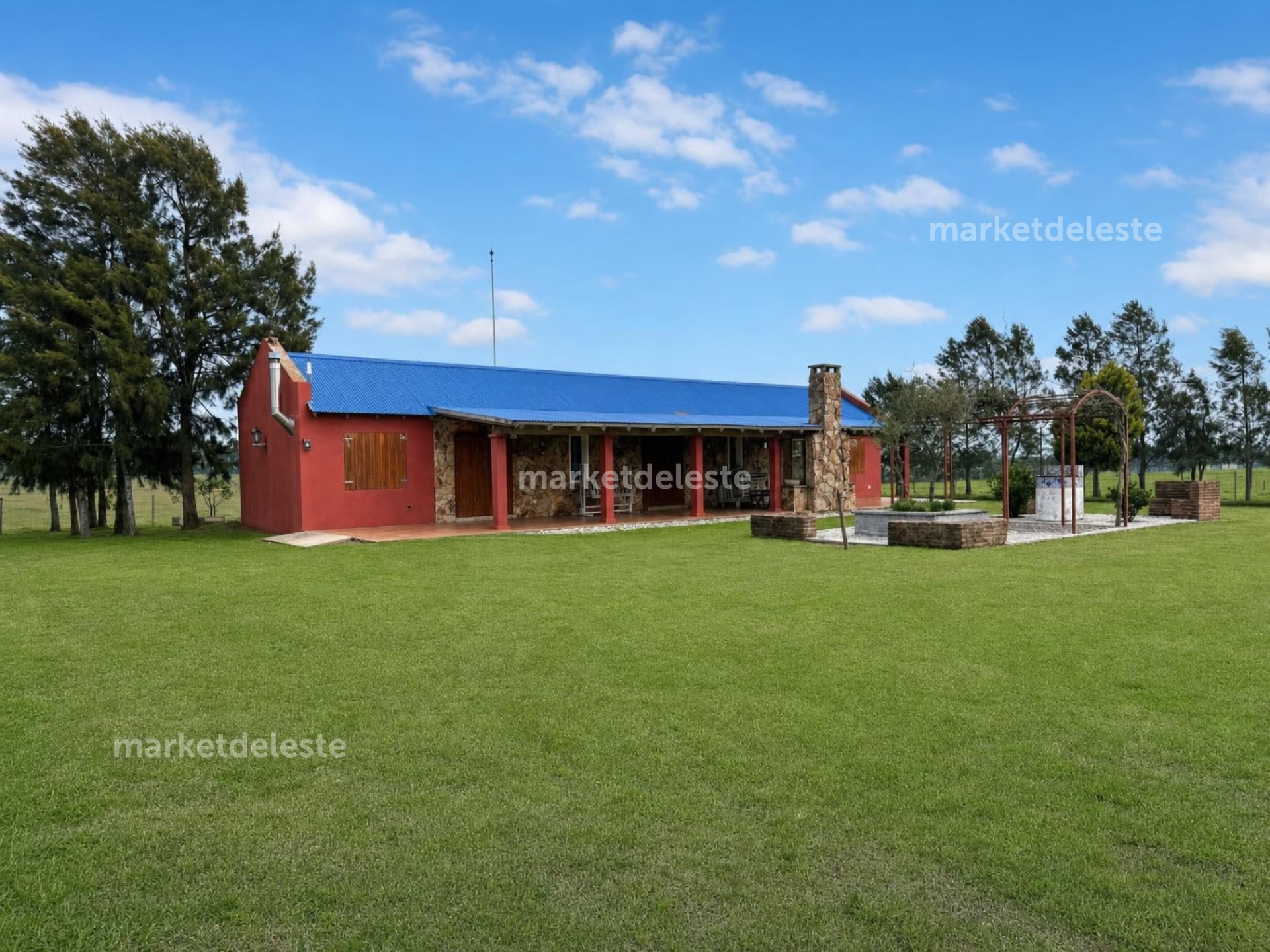 CAMPO EN JOSE IGNACIO